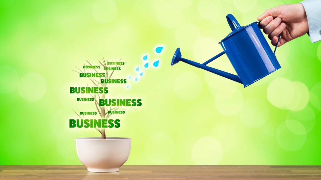 What is a Small Business Growth Strategy?